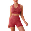 Seamless Yoga Fitness Outfit Set