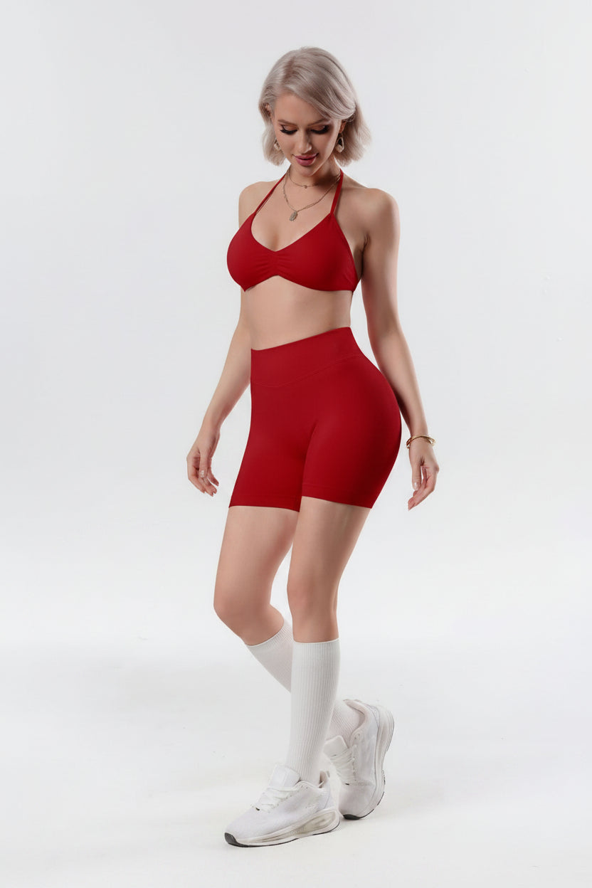 Women's High-Waisted Yoga Sports Bra and Shorts